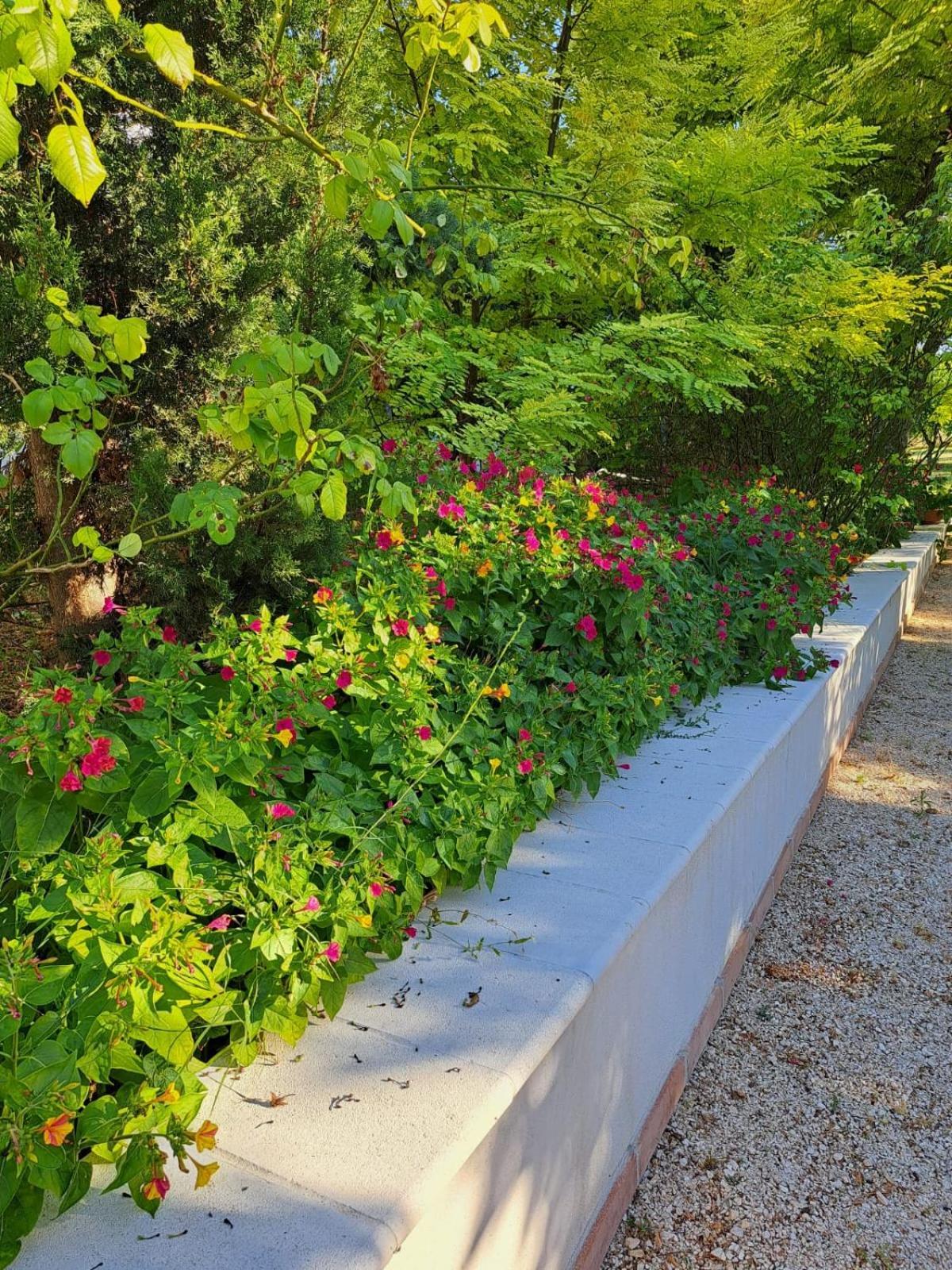 Larino La Casa Nel Verde מראה חיצוני תמונה